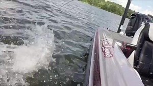 Russ cranking the Fat Papa 70. Notice how he worked the bait on his second fish. He killed it then sped up his retrieve to get the fish to bite. For more info on the Fat Papa 70 https://www.spro.com/SearchResults.asp?Cat=273 | SPRO U.S.A