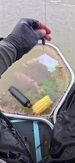 River Fishing in the Rain: Spraybait Tips for Big Rivermonsters