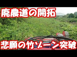 猪が横断する堤防廃農道。開拓する太郎に感動の瞬間が待っていた。スライドモア 後方撮影