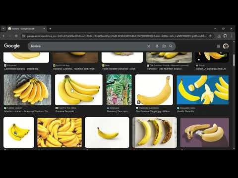 Searching up Random things on Google