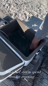 Lauren Thompson on Reels