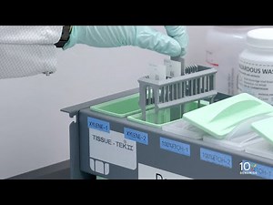 Visium CytAssist Deparaffinization H&E Staining Demonstrated Protocol | Tissue Deparaffinization
