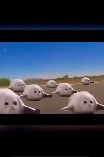 Bouncing seals meme