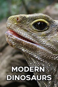 Modern Dinosaurs (2017) Streaming - Where to Watch Online