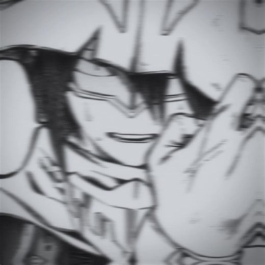 Sr Todoroki on TikTok