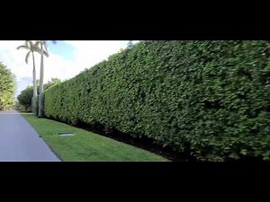 Jupiter Island Golf Club. Exclusive golf club by invitation only. Jupiter Island, Martin County Fl