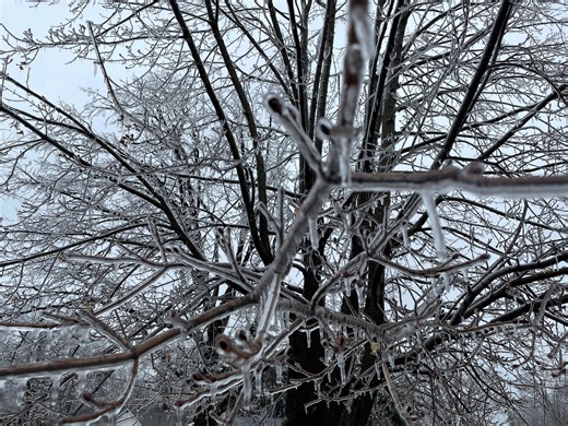 Stevens Point mayor asks residents to stay home amid freezing rain
