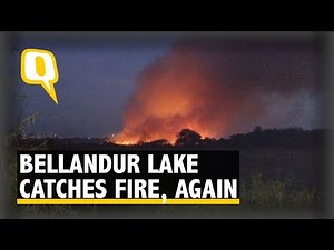 Army Called In to Help Douse Bellandur Lake Fire | The Quint