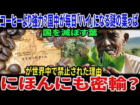 コーヒーより歴史が古い？国を崩壊させる「緑の葉」の正体とは