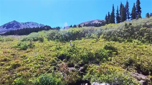 6 comments | Hike to Setup Basecamp Above 12,000' - Fly Fishing and Running Dogs Above Treeline. Hawk finds a new type of “bird”. Checkout the full video: https://youtu.be/HF6TlE_5_9c #camping #backpacking #flyfishing #hunting #birddog | Ultimate Upland | Facebook