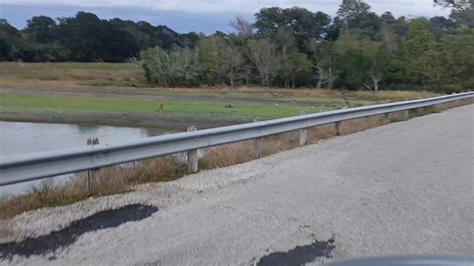 Wayne James on Reels