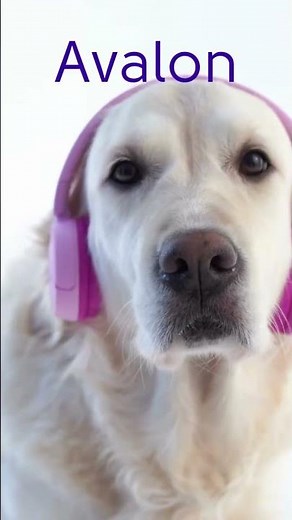 🐶5 Fun & Unique Dog Names that Start with A | Unique Dog Name Ideas | Wag & Howl