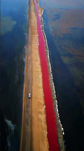 Namibia Pink Lake Walvis Bay | Flamingos Salt Lake Unique Nature Travel Spot 🇳🇦