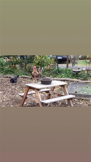 1.8K views · 12 reactions | Thank you, @NickHamilton for coming by...