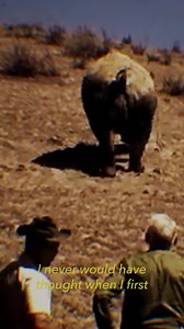 48K views · 613 reactions | San Diego’s Frozen Zoo preserves the living cells of Sudan, the last male northern white rhino. In the Season 2 finale of Human Footprint, host Shane Campbell-Staton holds this extraordinary piece of history in his hands. Watch it now on the PBS app. | PBS | Facebook