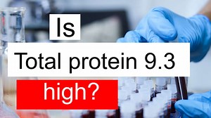 Is Total protein 9.3 high, normal or dangerous? What does Total protein level 9.3 mean?