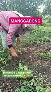 124K views · 2.6K reactions | Beta hamu akka tondong.. Manggadong.. Tabo do marsasahali.. Pasombu sihol.. | Erikson Pakpahan | Facebook