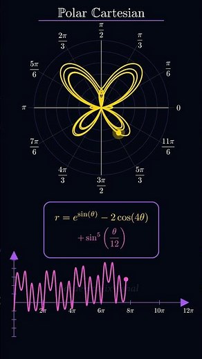 Butterfly Equation in Polar & Cartesian Plane 🦋✨ #maths #polargraph #cartesianplane