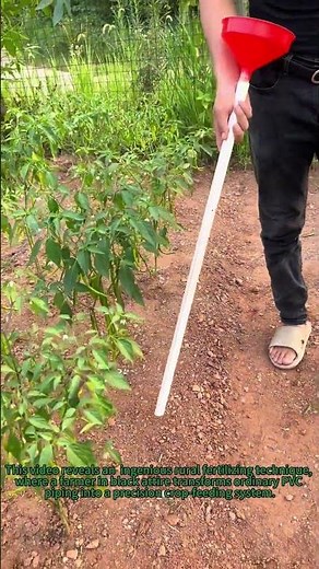 "Smart Farm Hack! 🌱 Easy DIY Fertilizing with PVC Pipe"