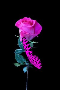 Good morning friends | Good morning images