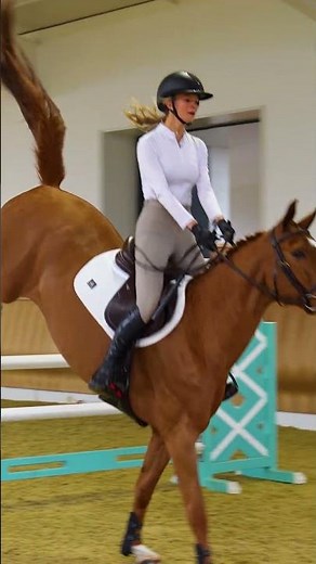 Game-changing comfort, from the inside out 🐎