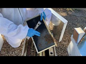 When to add a honey super