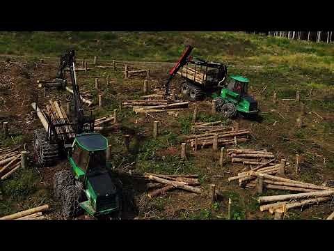 Logging Company in Germany/ Logset Forestry Equipment