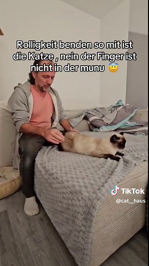 Rolligkeit bei Katzen: Tipps zur Kontrolle