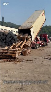 "Timber Tipping Masterclass! 🚛 Precision Log Unloading at Its Finest"
