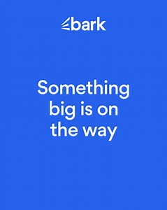 Meet the new Bark Marketplace. Get the right clients, every time. Enjoy faster matches, smarter chats, and services that go further. #BarkMarketplace #BarkAustralia | Bark.com