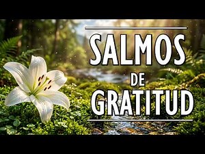 Salmos de ALABANZA y GRATITUD para Iniciar el Día en la Presencia de Dios ✨🙏