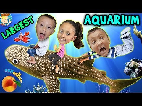 Family Trip to GEORGIA AQUARIUM World's Largest w WHALE SHARK & Dolphin Tales Show ATL Vlog #1