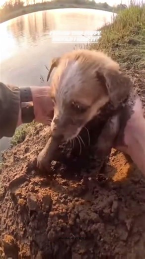 Should I keep this puppy?😊🥹