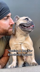 3.2M views · 13K reactions | I’m still waiting…#comfortdog #dogdad #emotionalsupportanimal #dogparent #fmylife #imbroken #frenchiesofinstagram #fixme #dogsofig #mentalhealth | somefrenchienamedapollo | Facebook