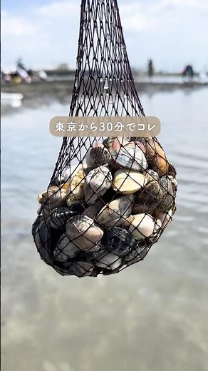 【遊んで学べる】潮干狩り＆自然体験が最高すぎた！