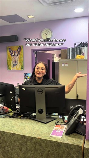 Adopt or Foster: Options for Pet Lovers in El Paso