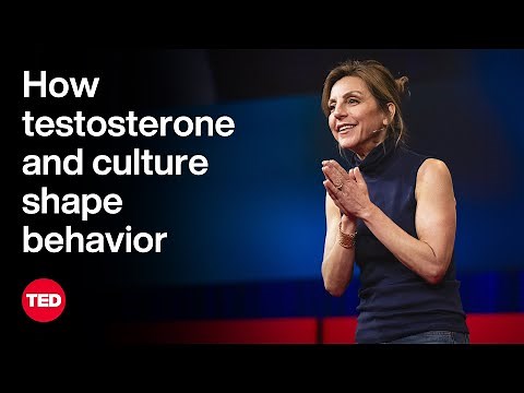 How Testosterone and Culture Shape Behavior | Carole K. Hooven | TED