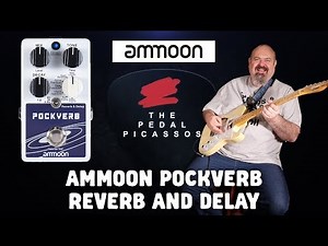 AMMOON POCKVERB REVERB AND DELAY