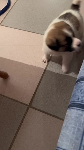 Соня Д С on TikTok