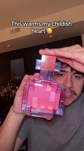 This is just so much fun… 😭 #minecraft #fun #toys #kids #xmas