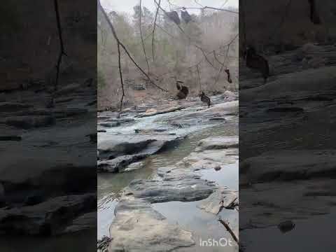 How to identify if you're being targeted by satanic secret society cults