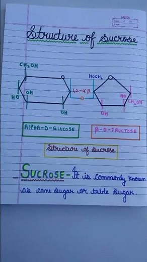 The structure of sucrose.grade 11th and 12th Biomolecules.