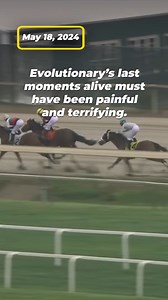 114K views · 2K reactions | This time last year, Evolutionary was alive. Today, she’s dead after a horrific fall at Parx racetrack--on the same day as the Preakness Stakes. Don’t bet on cruelty  https://peta.vg/42eo | PETA (People for the Ethical Treatment of Animals) | Facebook