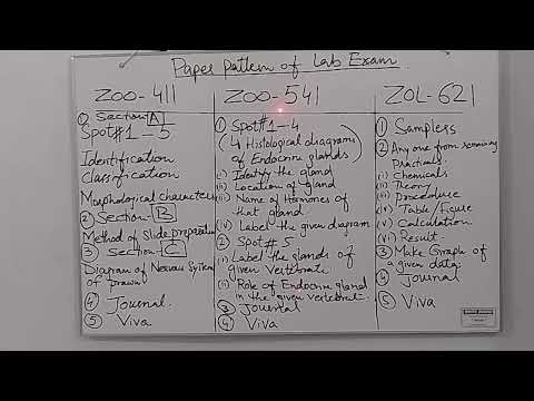 Paper pattern for lab exam