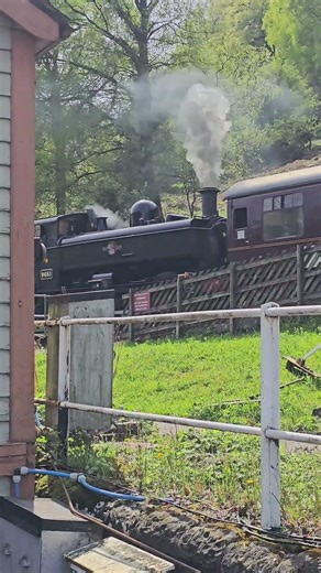 Dean Forest Railway's Pannier Tank #steam #steamlocomotive #deanforestrailway