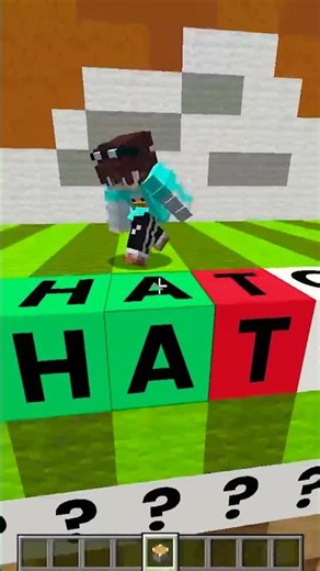 Get Term 08 right! #minecraft