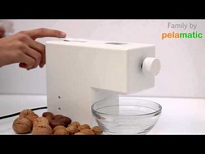 Robito Almendra (English version) - Pelamatic SL