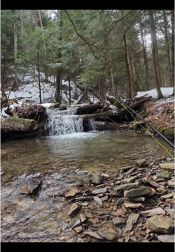 A trout a day, to keep ya sane! No.354! A beautiful Pennsylvania brook trout! Check out the TUBE for the FULL VIDEO!🎣 #fyp #pa #pennsylvania #brooktrout #fishing #spring #springishere #flyfishing #trout #catchandrelease #wild #outdoorsman #outdoors #fishtok #atroutaday #flyfish #smallstream #nature #fish #brookie