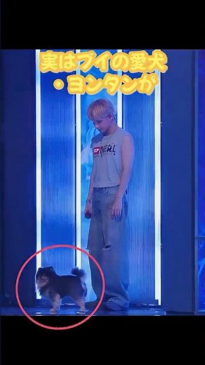 BTSテテ史上「最も静かだった」ステージ…理由が可愛すぎて全米が泣いた😭🐶 #shorts #防弾少年団 #テテ #ヨンタン #キムテヒョン