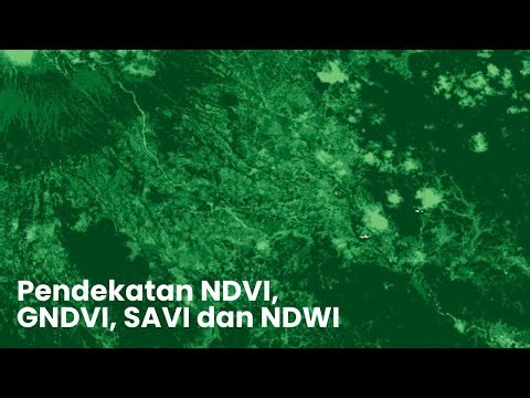 Pendekatan NDVI, GNDVI, SAVI dan NDWI (Qgis) - Analisis Spasial dan Lingkungan